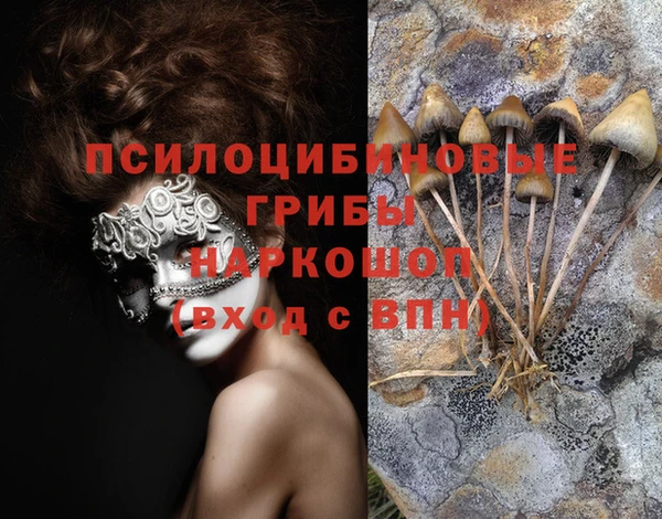 соль курить ск Алзамай