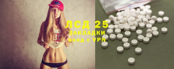 ПСИЛОЦИБИНОВЫЕ ГРИБЫ Алексеевка