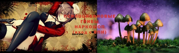 спайс Алексин