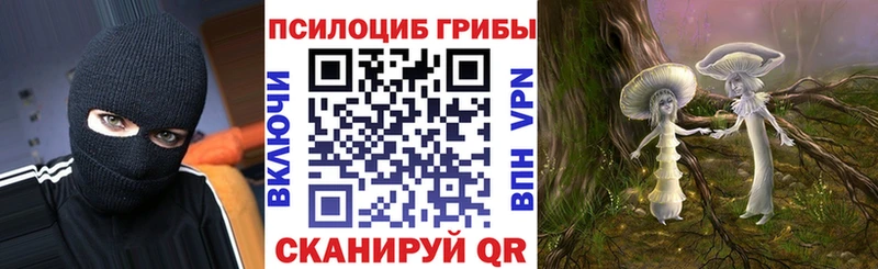 Галлюциногенные грибы Psilocybe Дыгулыбгей